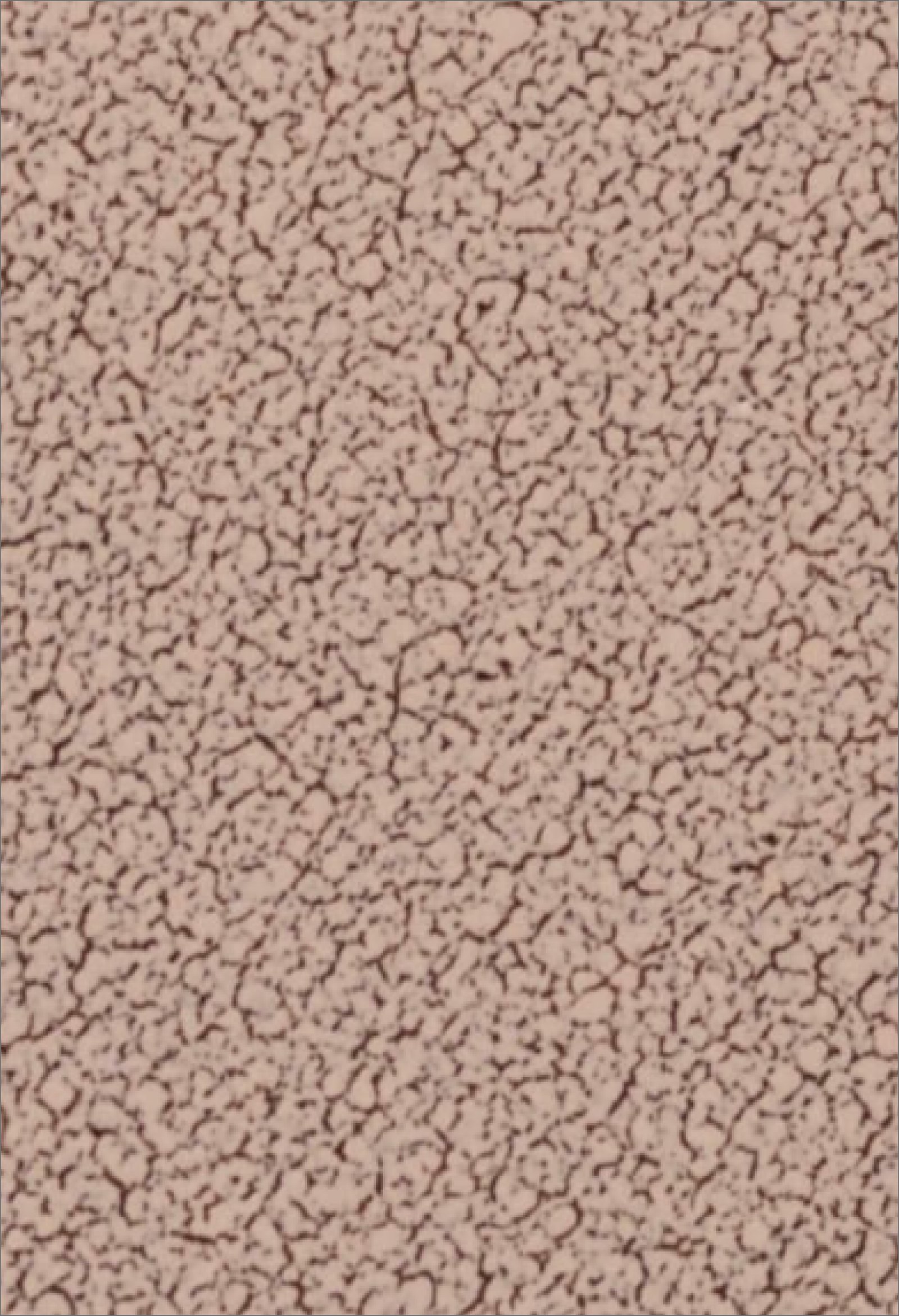 THE CRACKLE EFFECT